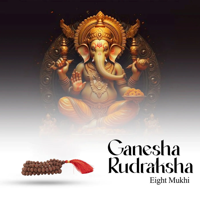 Giri - 8 Mukhi Rudraksha Mala | Ruthratcham Malai | Eight Face Rudraksha