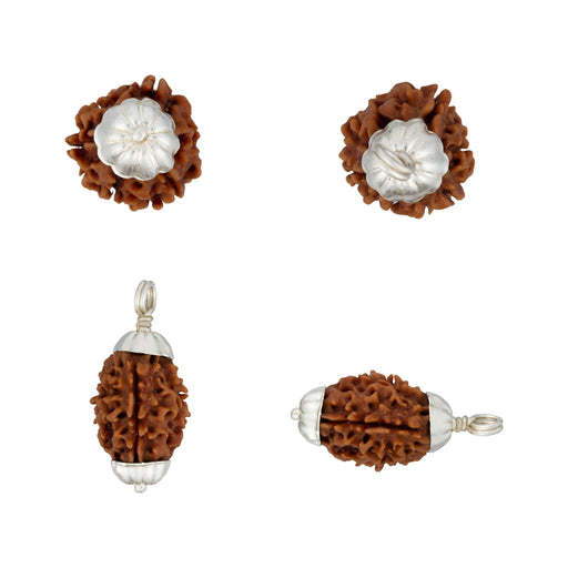 3 Face Rudraksha Beads Pendant | Himalayan Rudraksha Beads/ White Cup Rudraksha Locket for Men & Women - Rudraksha Mala, Pendant, Bracelet