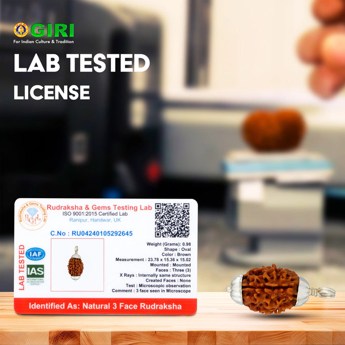 3 Face Rudraksha Beads Pendant | Himalayan Rudraksha Beads/ White Cup Rudraksha Locket for Men & Women - Rudraksha Mala, Pendant, Bracelet