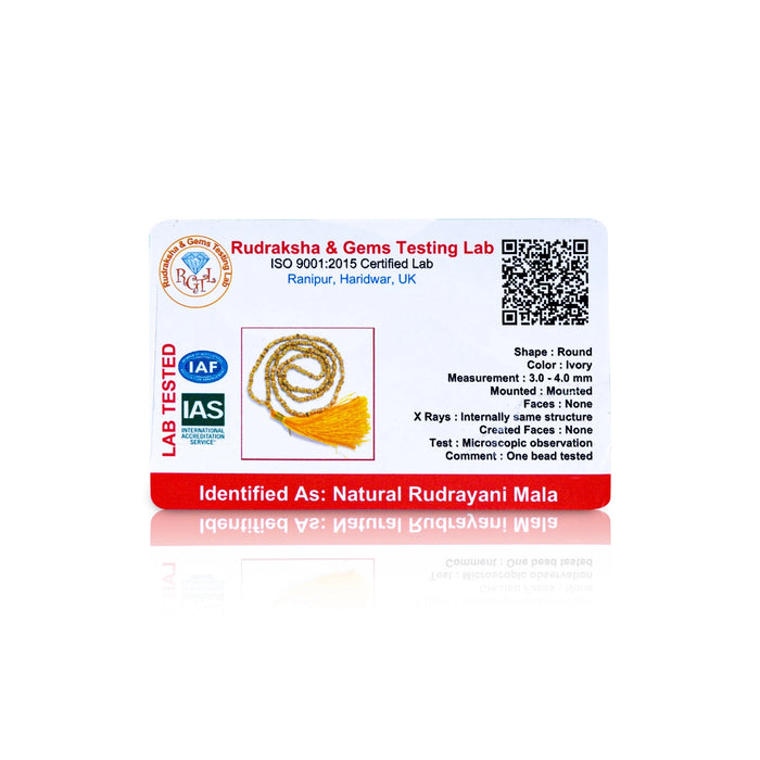 Rudrayani Mala With Gold Polish Cup | Rudrani Mala With Thread Knot/ Rudrani Beads Mala for Men & Women - Mala & Pendant