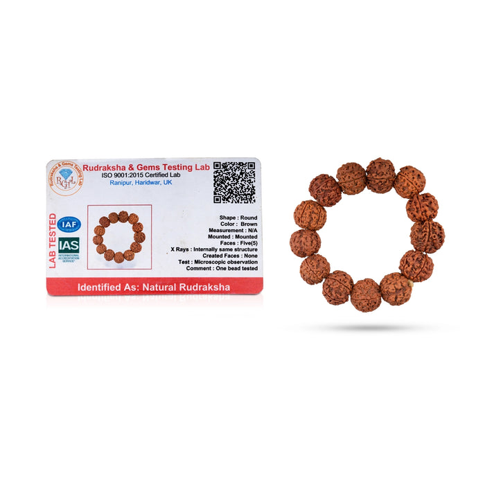 Rudraksha Bracelet - 2.5 Inches | Bracelet Rudraksh/ Rudraksha Hand Band/ Rudraksha Bracelet for Men & Women