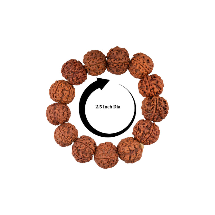 Rudraksha Bracelet - 2.5 Inches | Bracelet Rudraksh/ Rudraksha Hand Band/ Rudraksha Bracelet for Men & Women