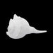 Right Hand Shankh - 3 x 6 Inch | Valampuri Conch/ White Colour Sangu for Abhisheka - Pooja Shankh