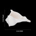 Right Hand Shankh - 3 x 6 Inch | Valampuri Conch/ White Colour Sangu for Abhisheka - Pooja Shankh