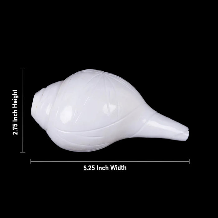 Blowing Shankh - 2.75 X 5.25 Inches | Vamavarti Shankh/ Bajane Wala Shankh/ Blowing Conch For Pooja - Pooja Shankh