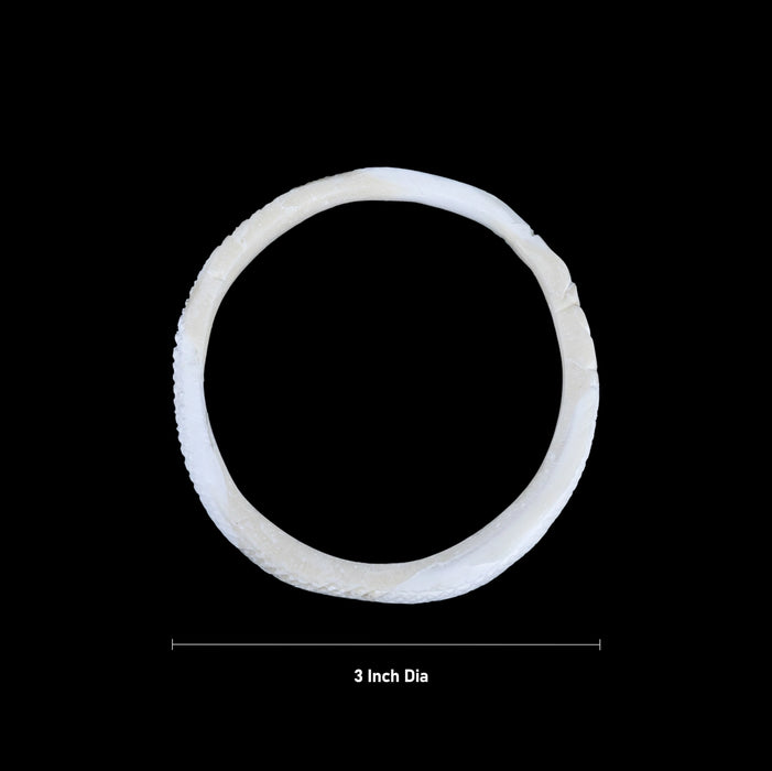 Shankh Bangle - 3 Inches | Shankha Bangle/ Shankha Pola/ Sankha Pola for Women