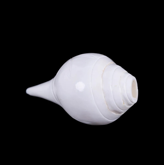 Blowing Shankh - 2.75 X 5 Inches | Vamavarti Shankh/ Bajane Wala Shankh/ Blowing Conch For Pooja - Pooja Shankh