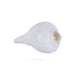 Abhishek Shankh - 1.5 x 2 Inches | Pooja Sangu / Conch / Shankha for Divine Purpose - Pooja Shankh