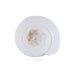 Abhishek Shankh - 1.5 x 2 Inches | Pooja Sangu / Conch / Shankha for Divine Purpose - Pooja Shankh