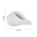 Abhishek Shankh - 1.5 x 2 Inches | Pooja Sangu / Conch / Shankha for Divine Purpose - Pooja Shankh