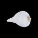 Abhishek Shankh - 1.5 x 2 Inches | Pooja Sangu / Conch / Shankha for Divine Purpose - Pooja Shankh