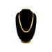 Kasumala - 10 Inches | 100 Coin Kasumalai/ Kaasu Maalai / Artificial Jewellery for Women - Neck & Body Accessories