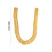 Kaasumala - 12 Inches | Gold Polish Lakshmi Design Coin Kasumalai/ Kaasu Malai for Deity - Neck & Body Accessories