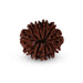 10 Mukhi Rudraksha Bead | Ten Face Rudraksha/ Ten Mukhi Rudraksha for Men & Women - Rudraksha Mala, Pendant, Bracelet