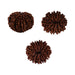 10 Mukhi Rudraksha Bead | Ten Face Rudraksha/ Ten Mukhi Rudraksha for Men & Women - Rudraksha Mala, Pendant, Bracelet