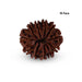 10 Mukhi Rudraksha Bead | Ten Face Rudraksha/ Ten Mukhi Rudraksha for Men & Women - Rudraksha Mala, Pendant, Bracelet