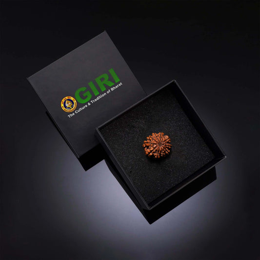 10 Mukhi Rudraksha Bead | Ten Face Rudraksha/ Ten Mukhi Rudraksha for Men & Women - Rudraksha Mala, Pendant, Bracelet