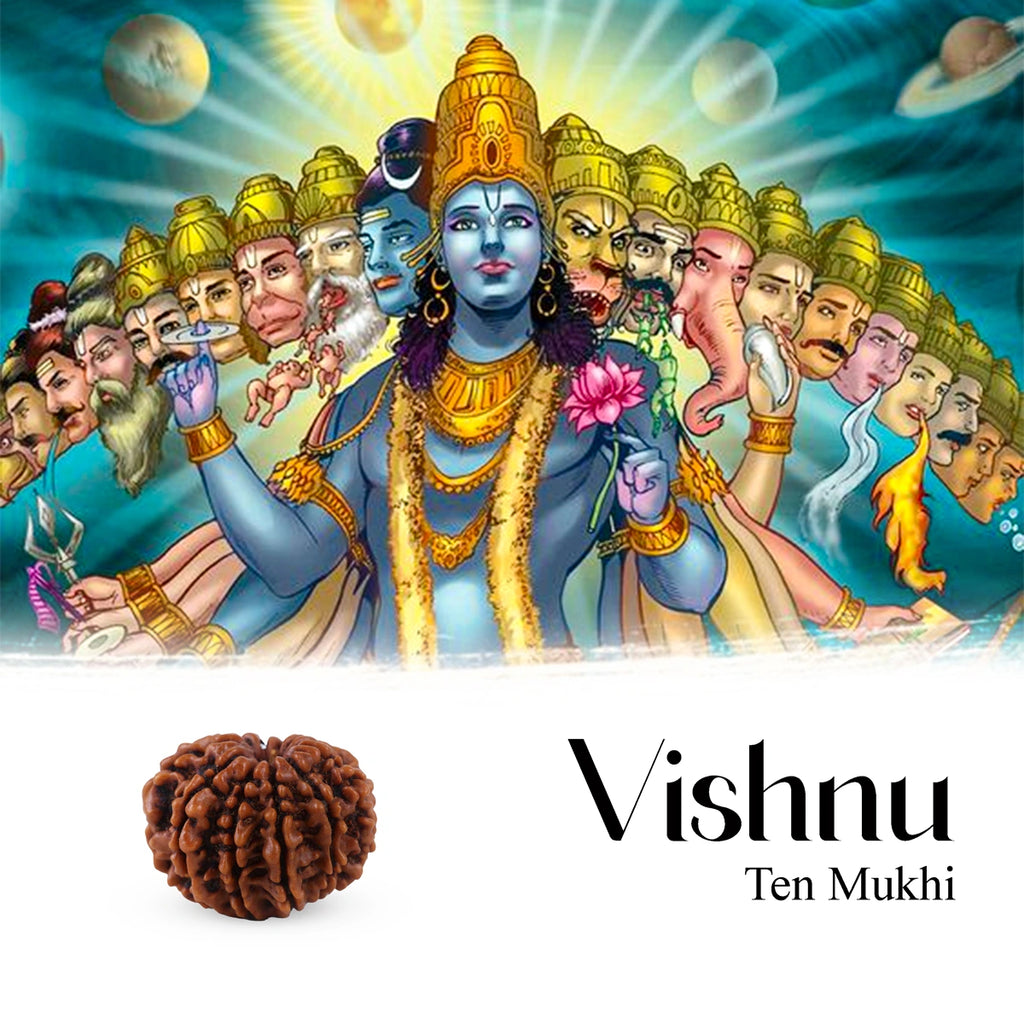 10 Mukhi Rudraksha Bead | Ten Face Rudraksha/ Ten Mukhi Rudraksha for Men & Women