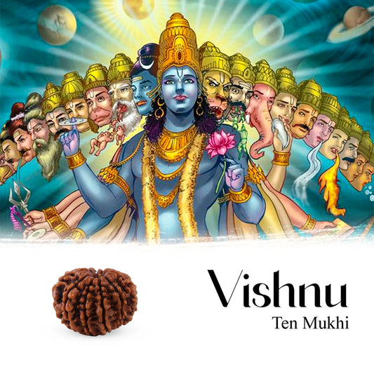 10 Mukhi Rudraksha Bead | Ten Face Rudraksha/ Ten Mukhi Rudraksha for Men & Women - Rudraksha Mala, Pendant, Bracelet