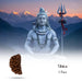 1 Mukhi Rudraksha Bead | Cashew Nut Shape 1 Mugam Bead/ Rudraksh Beads for Men & Women - Rudraksha Mala, Pendant, Bracelet