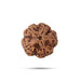 5 Face Rudraksha Beads | 5 Mukhi Rudraksh Beads/ Five Mukh Ruthracham Beads for Men & Women - Rudraksha Mala, Pendant, Bracelet