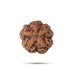 5 Face Rudraksha Beads | 5 Mukhi Rudraksh Beads/ Five Mukh Ruthracham Beads for Men & Women - Rudraksha Mala, Pendant, Bracelet