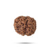 5 Face Rudraksha Beads | 5 Mukhi Rudraksh Beads/ Five Mukh Ruthracham Beads for Men & Women - Rudraksha Mala, Pendant, Bracelet