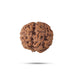 5 Face Rudraksha Beads | 5 Mukhi Rudraksh Beads/ Five Mukh Ruthracham Beads for Men & Women - Rudraksha Mala, Pendant, Bracelet