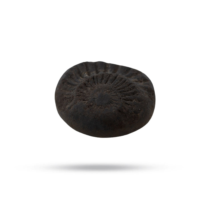 Salagrama Sudarsanar Murti- 1 Inches | Saligram Murti/ Shaligram Stone For Divine Protection And Positive Energy - Saligrama Stones & Murties