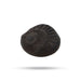 Salagrama Sudarsanar Murti- 1 Inches | Saligram Murti/ Shaligram Stone For Divine Protection And Positive Energy - Saligrama Stones & Murties