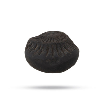 Salagrama Sudarsanar Murti- 1 Inches | Saligram Murti/ Shaligram Stone For Divine Protection And Positive Energy