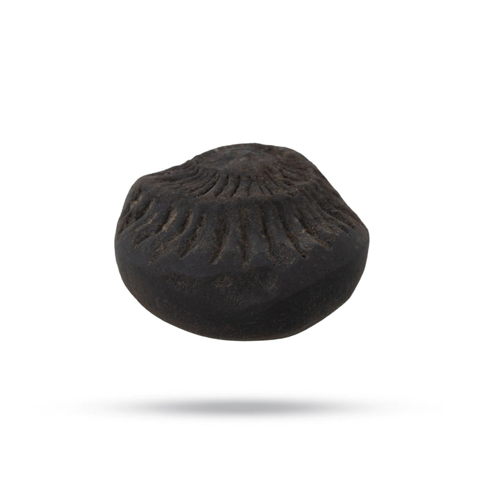 Salagrama Sudarsanar Murti- 1 Inches | Saligram Murti/ Shaligram Stone For Divine Protection And Positive Energy - Saligrama Stones & Murties