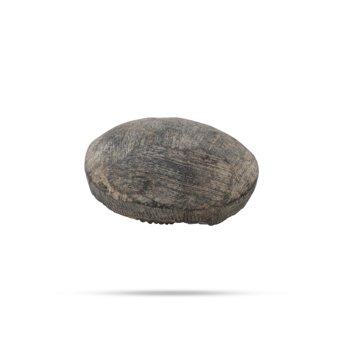 Salagrama Sudarsanar Murti- 1.25 Inches | Saligram Murti/ Shaligram Stone For Divine Protection And Positive Energy - Saligrama Stones & Murties