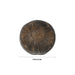 Salagrama Sudarsanar Murti- 1.25 Inches | Saligram Murti/ Shaligram Stone For Divine Protection And Positive Energy - Saligrama Stones & Murties