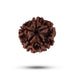 Rudraksha Beads - 5 Face | Rudraksh Beads/ Ruthracham Beads for Men & Women - Rudraksha Mala, Pendant, Bracelet