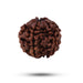 Rudraksha Beads - 5 Face | Rudraksh Beads/ Ruthracham Beads for Men & Women - Rudraksha Mala, Pendant, Bracelet