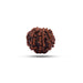 7 Mukhi Rudraksha Bead | Seven Face Rudraksha / Seven Mukhi Rudraksha for Men & Women - Rudraksha Mala, Pendant, Bracelet