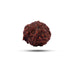 Ganesha Rudraksha Beads | Ganesh Mukhi Rudraksha/ Ganpati Rudraksha Bead for Men and Women - Rudraksha Mala, Pendant, Bracelet