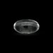 Spatik Banalingam - 2.75 x 1.5 Inches | Spatika Banalinga / Banalingam Shivling for Pooja - Sphatik & Semi Precious Stone Murties