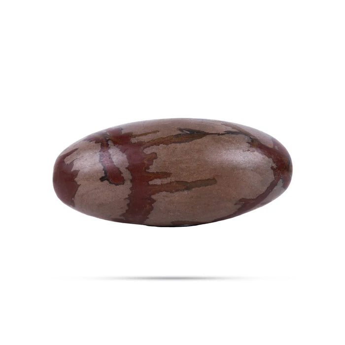 Narmadha Banalingam – 7 Inches | Banalinga Stone Shivling / Shivalingam For Divine Worship