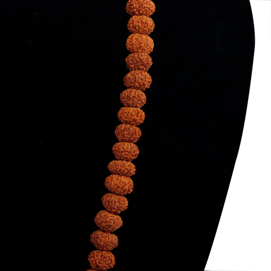 Ruthratcham Malai - 10 Face | Rudraksha Mala/ Kantha Mala/ Rudra Mala for Men and Women - Rudraksha Mala, Pendant, Bracelet