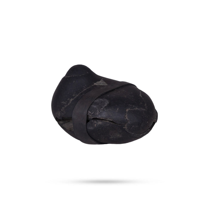 Shaligram Murti | Stone Deity / Shaligram Idol / Saligram Murti for Pooja - Saligrama Stones & Murties