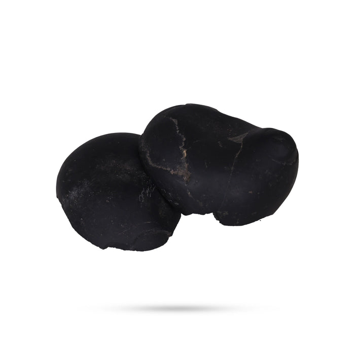 Shaligram Murti | Stone Deity / Shaligram Idol / Saligram Murti for Pooja - Saligrama Stones & Murties