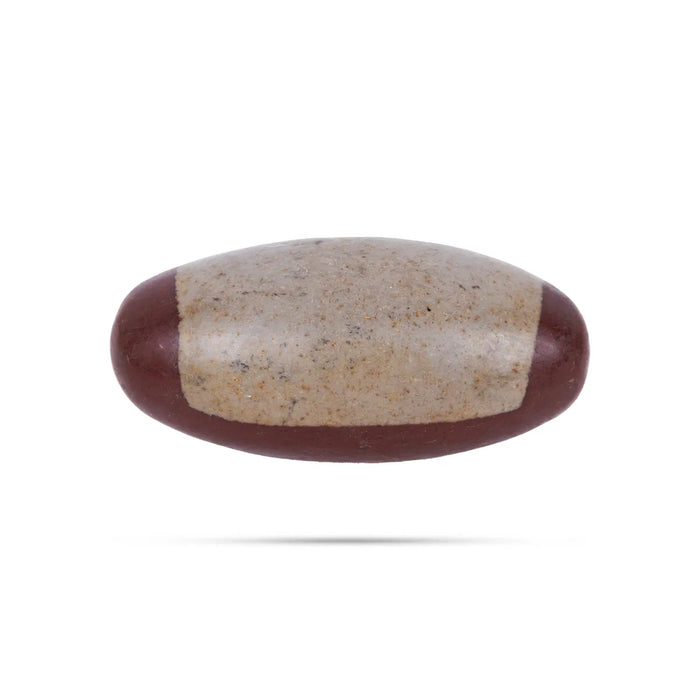 Narmadha Banalingam – 6 Inches | Banalinga Shivling / Shivalingam For Pooja & Worship