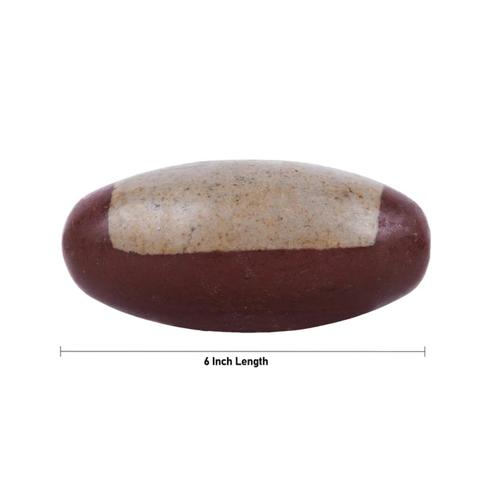 Narmadha Banalingam – 6 Inches | Banalinga Shivling / Shivalingam For Pooja & Worship