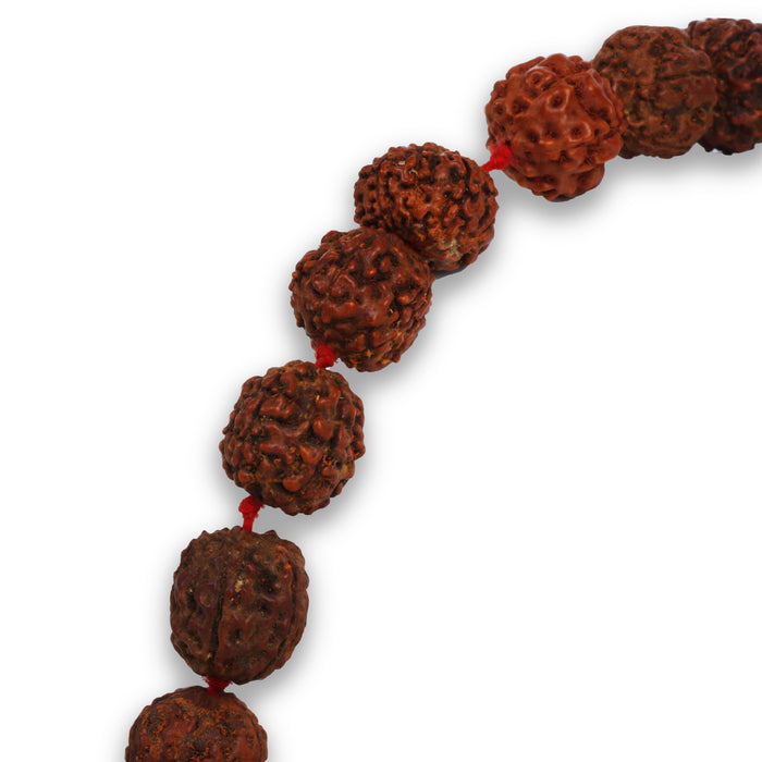 Ruthratcham Malai - 16 Inches | Rudra Mala/ 54 Beads Rudraksha Mala/ Kantha Mala for Men and Women