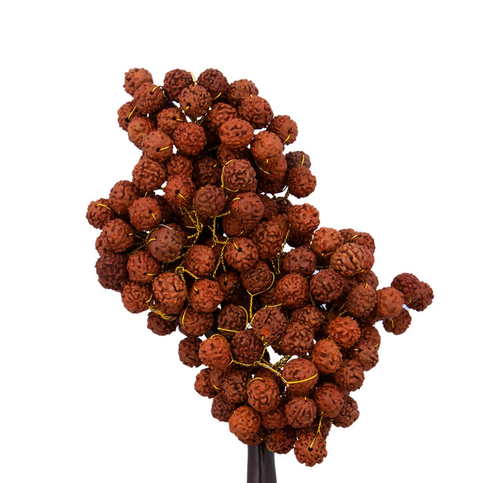 Gem Tree - 9 x 4 Inches | 200 Beads Rudraksha Tree/ Vastu Tree for Home/ 240 Gms Approx