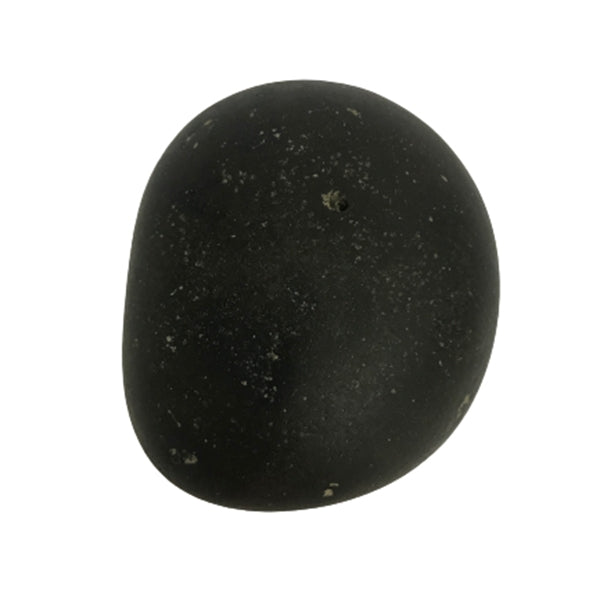 Shaligram - 1.5 Inches | Saligrama/ Saligram/ Salagrama Murti for Pooja