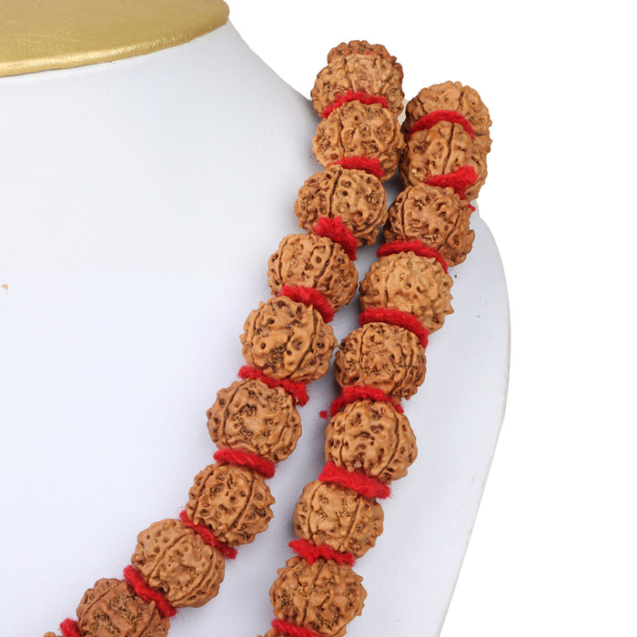 Giri - Original Rudraksha Mala | Japa Mala | Ruthratcham Malai