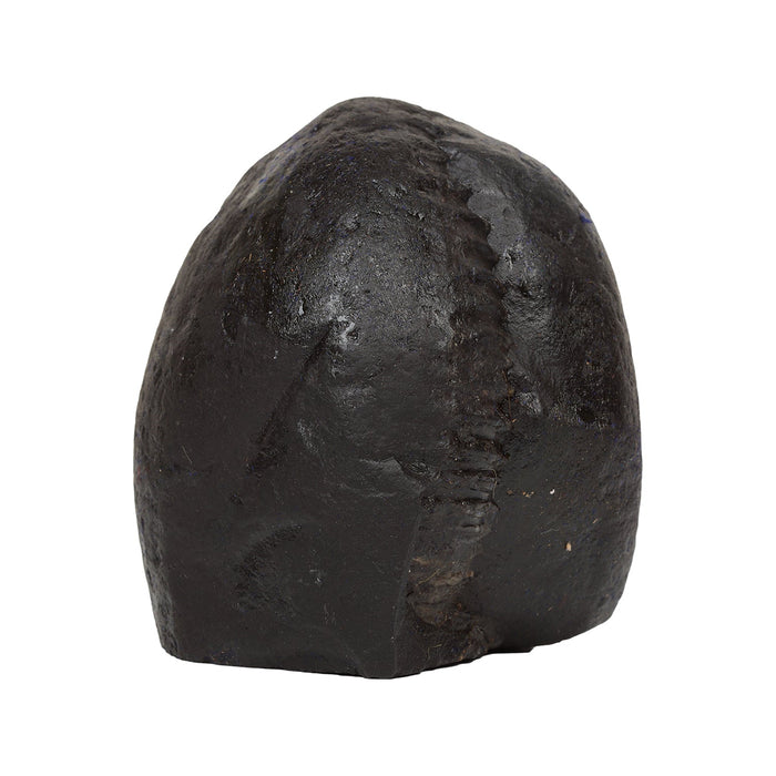 Shaligram Murti | Shaligram Idol / Stone Deity / Saligram Murti for Pooja - Saligrama Stones & Murties
